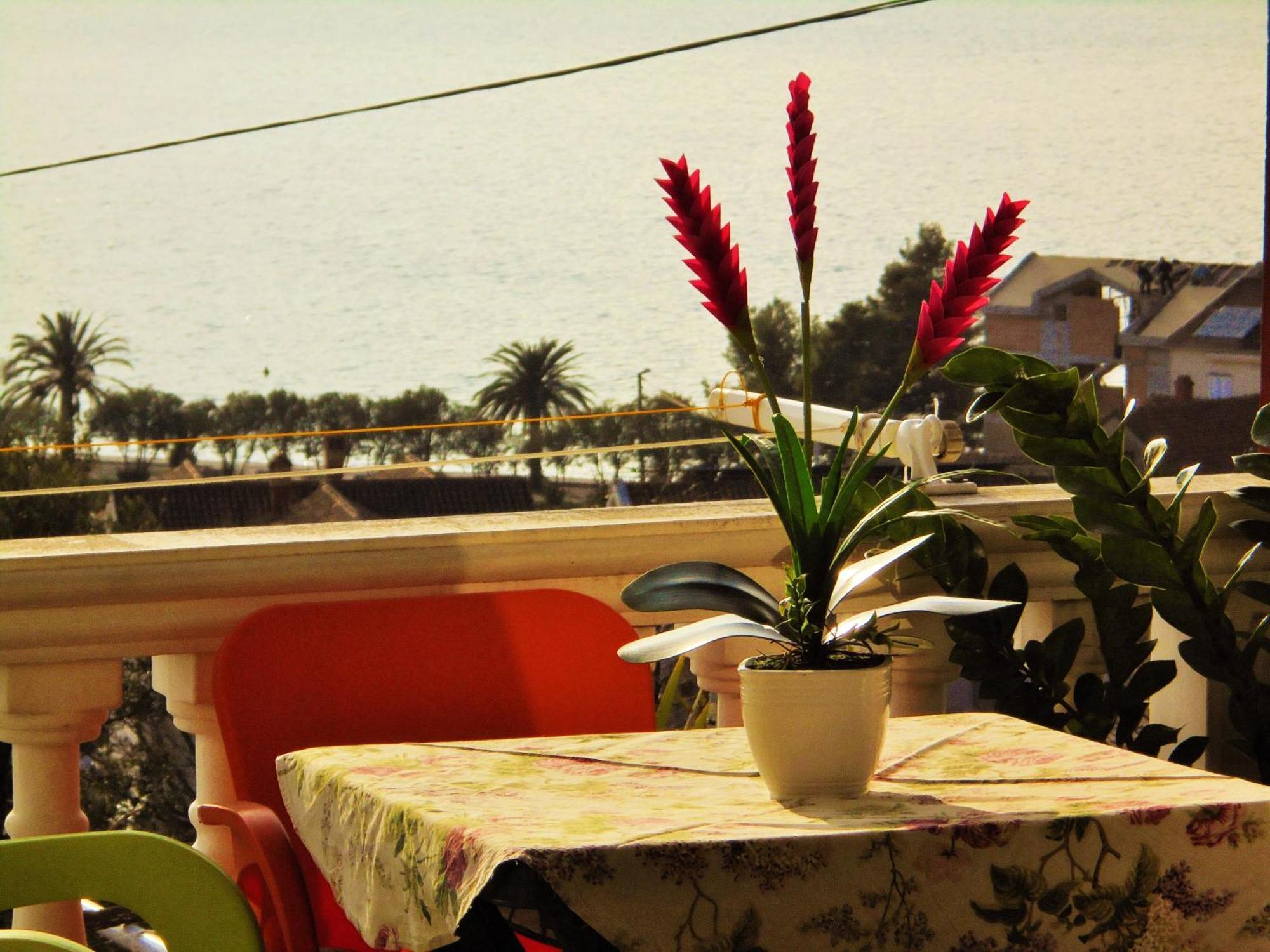 Villa Lastva Apartments Тиват Екстериор снимка